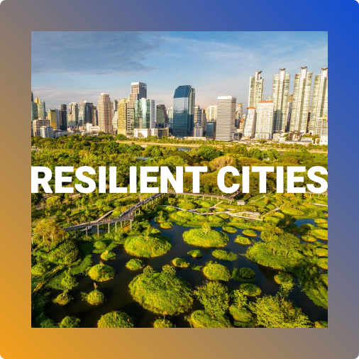 resilient cities