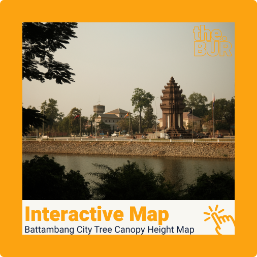 Battambang City Tree Canopy Height Map