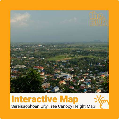 Sereisaophoan City Tree Canopy Height Map