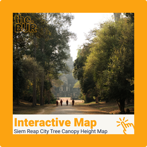 Siem Reap City Tree Canopy Height Map